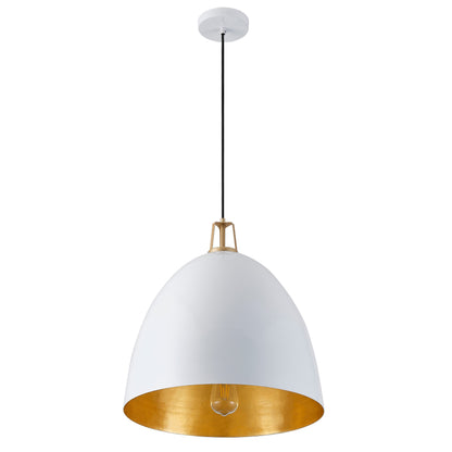 1-Light Dome Shade Design Pendant Lighting