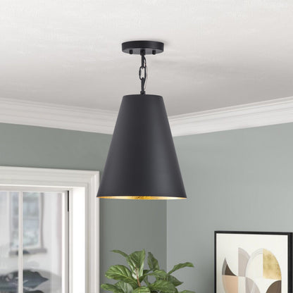1-Light Industrial Metal Lamp Ceiling Lighting