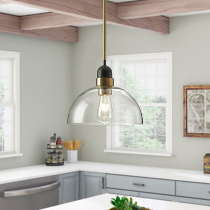 1-Light Industrial Clear Glass Pendant Lighting