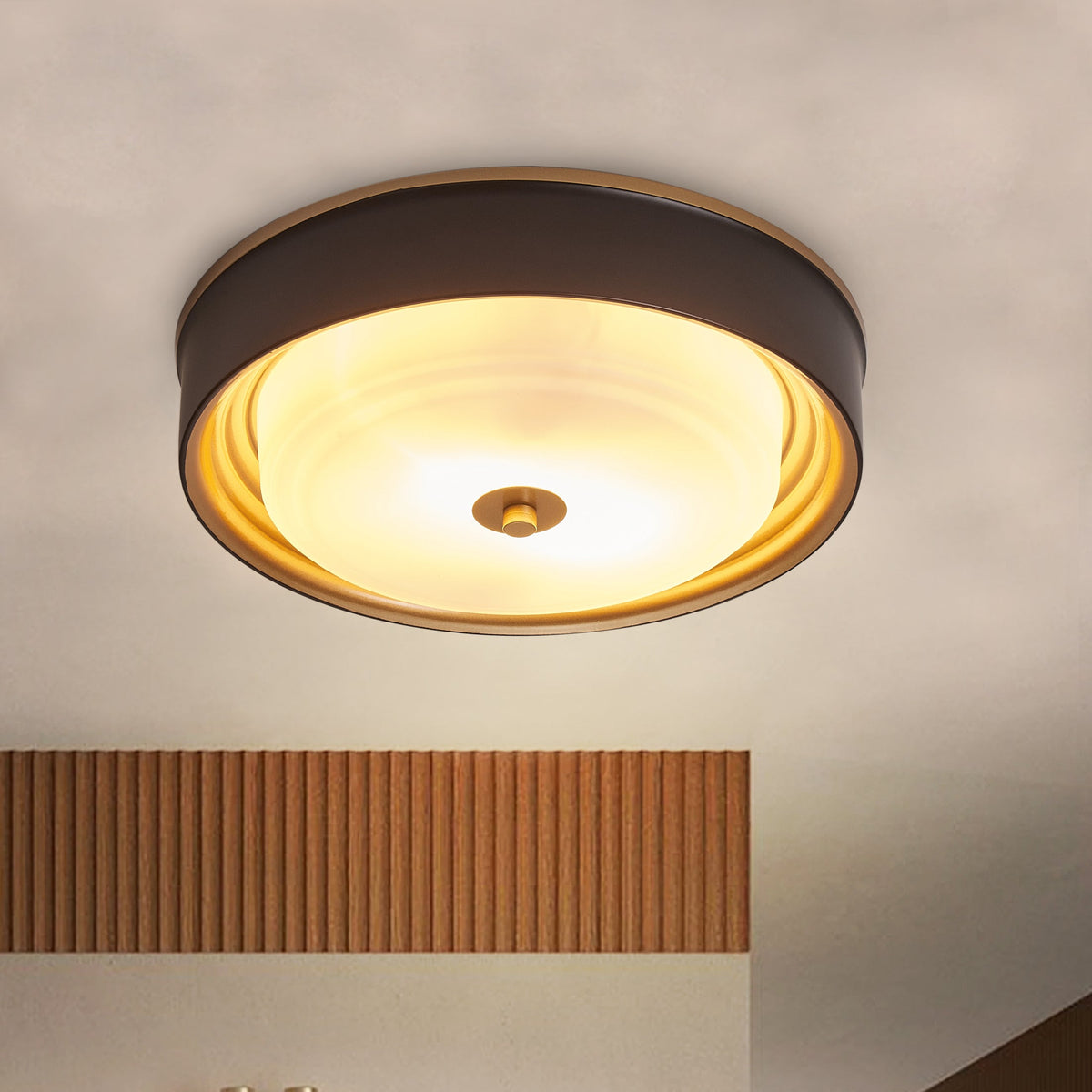 2-Lights Modern Inlaid Circle Design Flush Mount Lighting