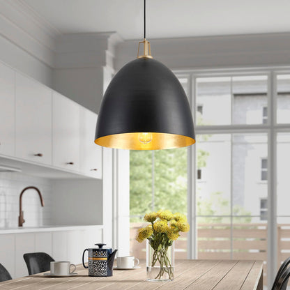 1-Light Dome Shade Design Pendant Lighting