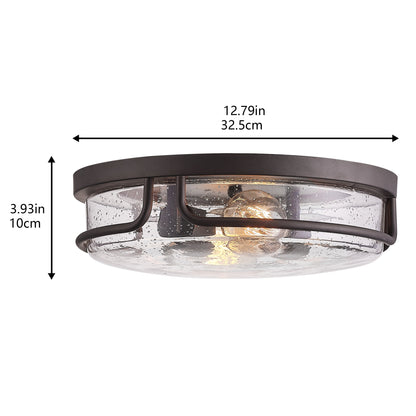 2-Lights Metal Frame with Glass Flush Mount Lighting