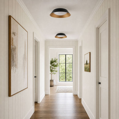 1-Light Black Gold LED Flush Mount Ceiling Light