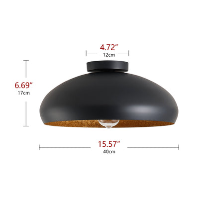 1-Light Sanded Black Semi-Flush Mount