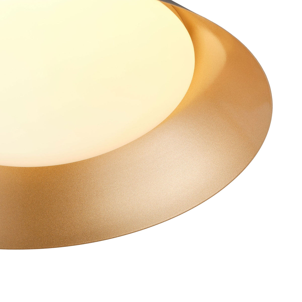 1-Light Black Gold LED Flush Mount Ceiling Light